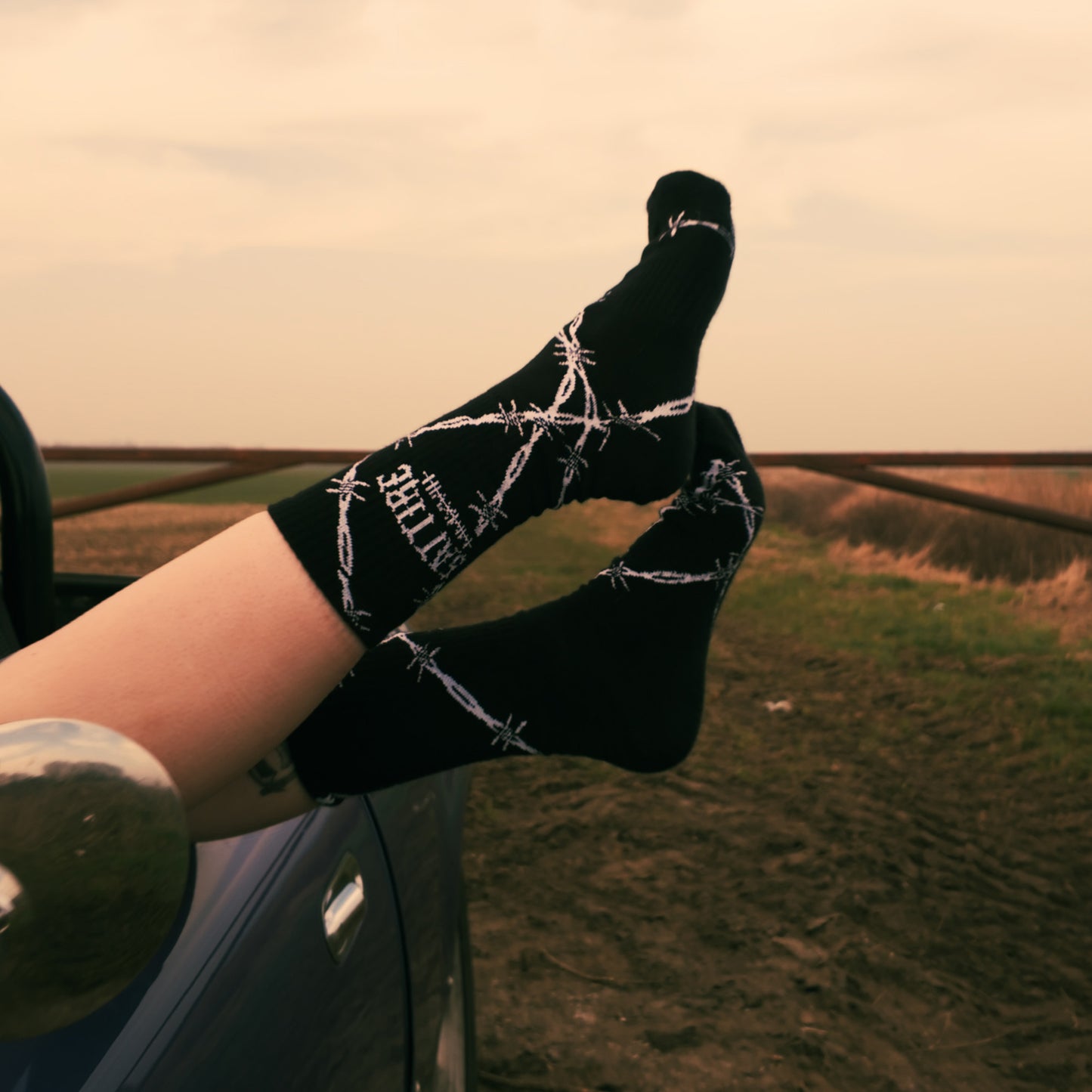 BARB SOCKS
